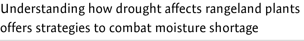 Understanding how drought affects rangeland plants offers strategies to combat moisture shortage