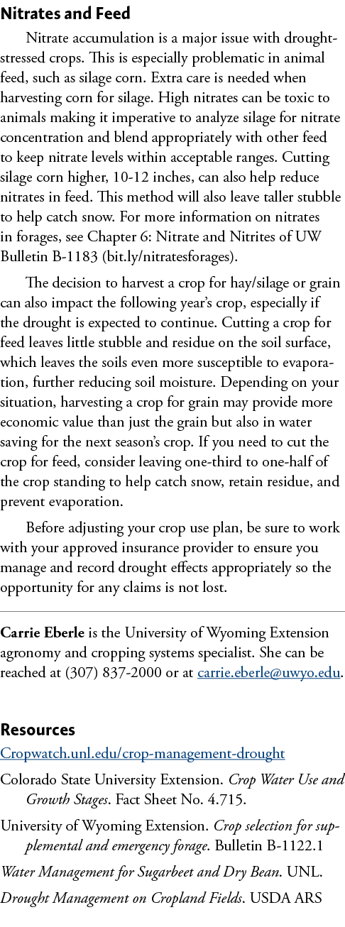 Nitrates and Feed Nitrate accumulation is a major issue with drought-stressed crops. This is especially problematic i...