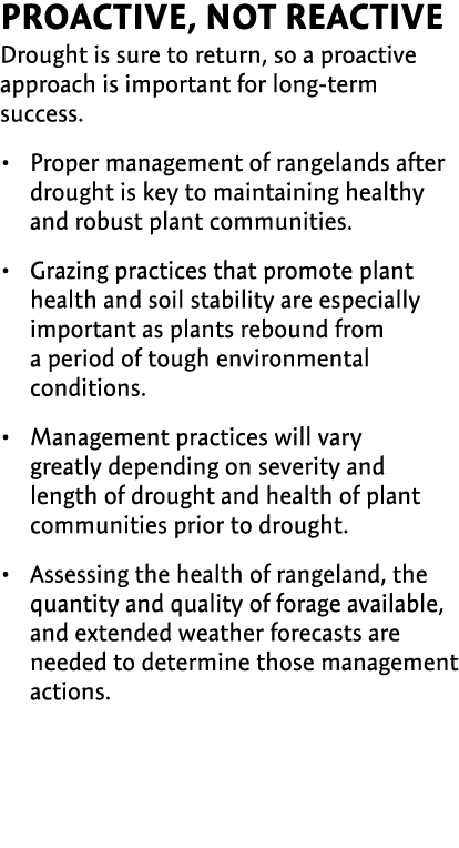 Proactive, not reactive Drought is sure to return, so a proactive approach is important for long-term success. Proper...