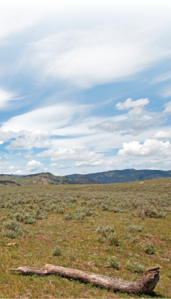 Sidebar photo of rangeland, sky and sagebrush