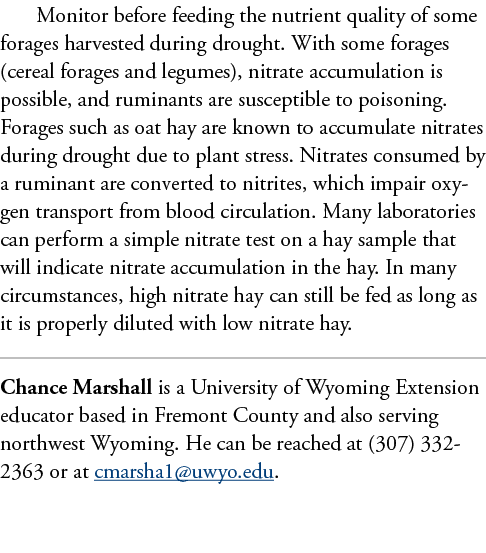 Monitor before feeding the nutrient quality of some forages harvested during drought. With some forages (cereal forag...
