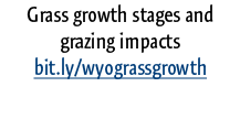 Grass growth stages and grazing impacts bit.ly/wyograssgrowth 