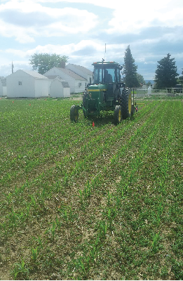 Tractor applying liquid fertilizer to silage corn