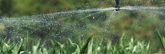 Close-up of sprinkler head spraying water on corn