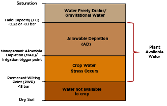 Illustration explaining the soil water reserve terms between saturation and dry soil 