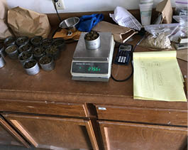 Silver tins of soil on and next to digital scale 