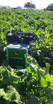 Probe just above the ground in a sugar beet field 