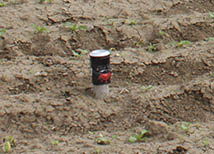Access tube in a field 