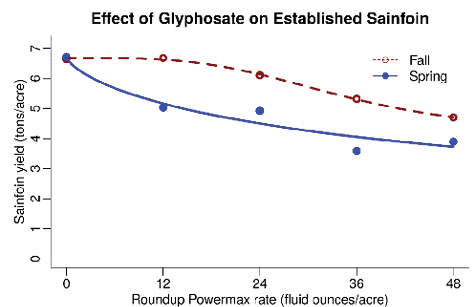 Glyphosate applied to established sainfoin also reduces the sainfoin yield 