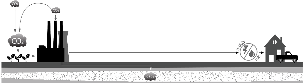 Diagram illustrating how carbon dioxide is created  removed from atmosphere and then the transformation of the carbon dioxide into energy 