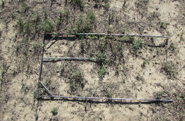 Bareground with researching measuring frame on it 
