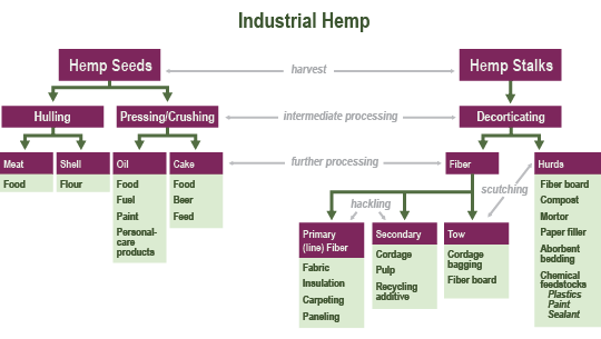 Diagram showing the uses of hemp seeds (food, flour, fuel, paint, personal care products, feed) and hemp stalks (fabric, insulation, carpeting, paneling, cordage, pulp, recycling additive, fiber board, compost, mortar, paper filler, absorbent bedding, plastics, paint, sealant) 