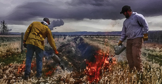 Illustration of two people lighting fires in irrigation ditch 