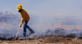 Man raking burned soil 