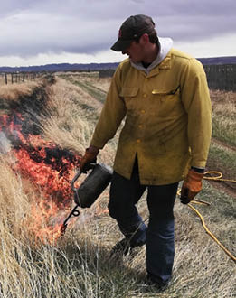 Man lighting dry grasses on fire 
