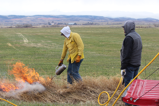 Person lighting fire with second person standing nearby and holding a hose 