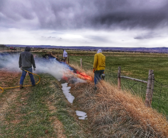 Snow in ditch that is being burned 