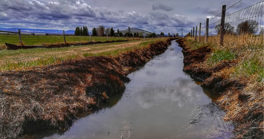 Recently burned ditch full of water 
