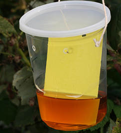 Plastic container with yellow card