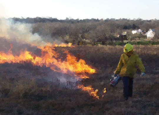 Watercolor illustration of a prescribed fire being set 