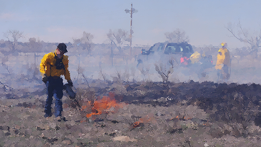 Lighting patches of weeds near a burned area 