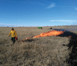 Lit fire on rangelands