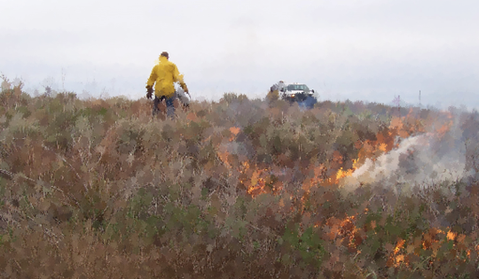 Prescribed burn in a rangelands area 