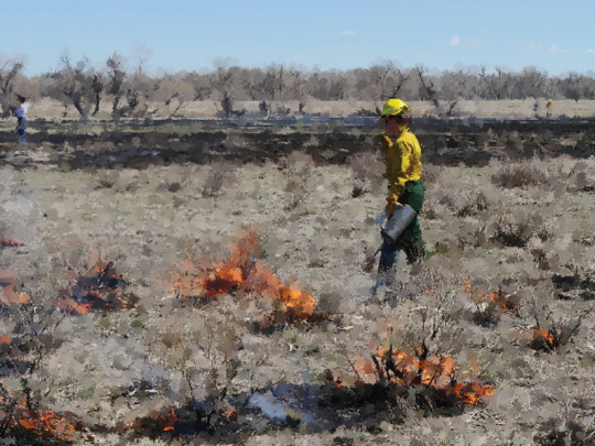 Monitoring a prescribed fire 