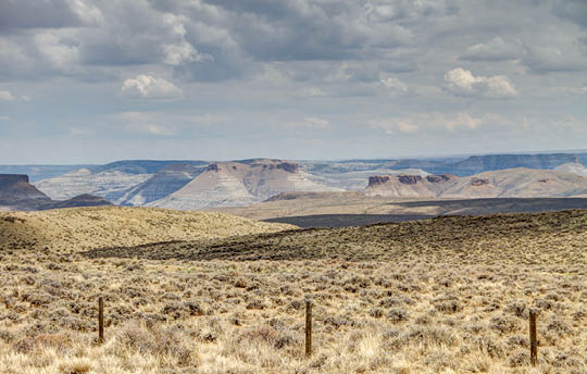 Wyoming landscape  Gold grasses on the prairie with low mountains in the background 