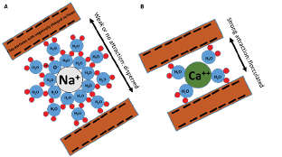 Large circles surrounded by many smaller and very small small circles 