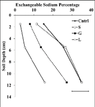Graph showing ESP percentages increasing as one moves deeper in to the soil 