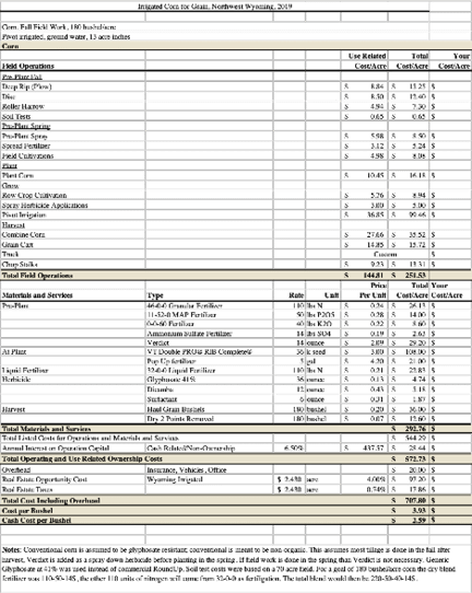 irrigated corn budget