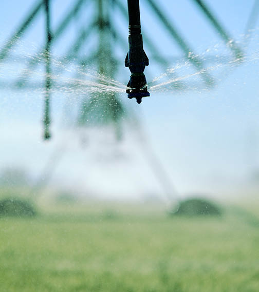 water spraying from irrigation head