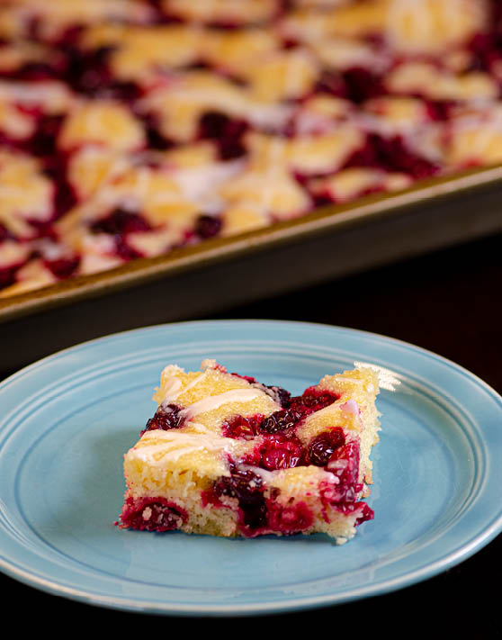 A fruit bar placed on a blue plate with a pan of fruit bars in the background. 