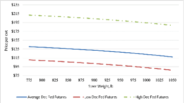 Graph of price slide for yearling steers as compared with December Fed cattle futures prices