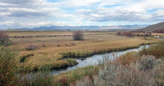 The Little Sandy River in southern Wyoming  A large prarie with a river flowing through it  