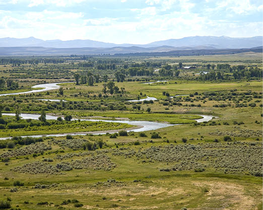 The Green River with mountains in the background and green trees and scenery in the surroundings  
