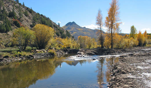 Battle Creek, Little Snake River Valley  A scenic view of a river with orange, yellow and green willows and aspens in the background  