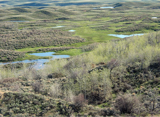 The Little snake river amongst green hills and shrubbery  