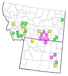 Areas of insecticide resistance map of Wyoming and Montana