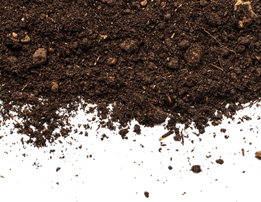 Brown dirt scattered on white surface 