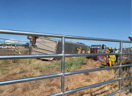 Livestock hauling truck tipped over on side of road 