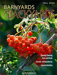 Barnyards & Backyards Cover