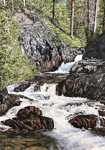 peaceful stream flows through a forested area with dense green vegetation on both sides. The sunlit grasses and dark shaded trees create contrast in this tranquil, detailed scene.