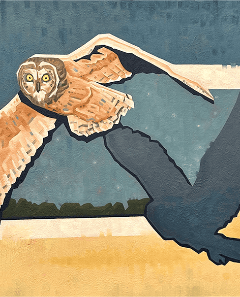 A stylized painting of an owl mid-flight, casting a sharp-edged shadow below. The background features a soft, textured sky and a pale yellow ground, evoking contrast and motion.