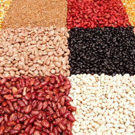 varied dry beans in square shapes