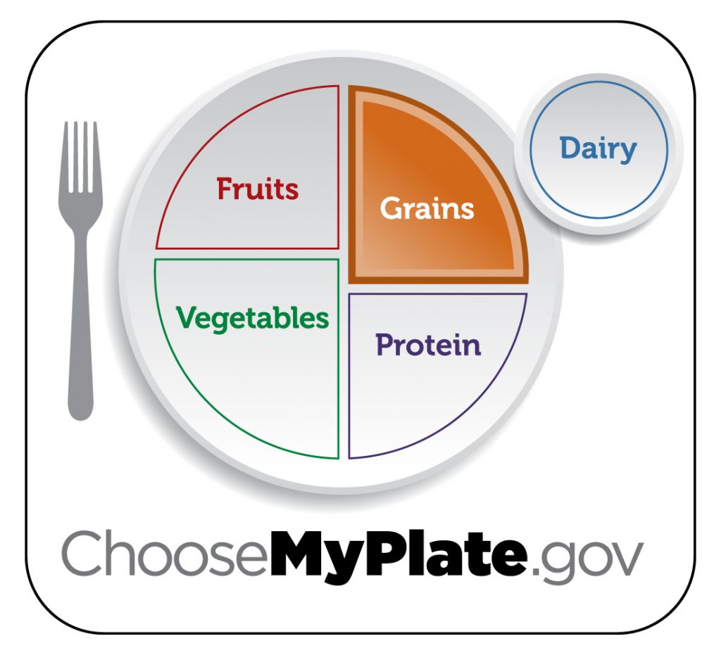 MyPlate with grains section colored in