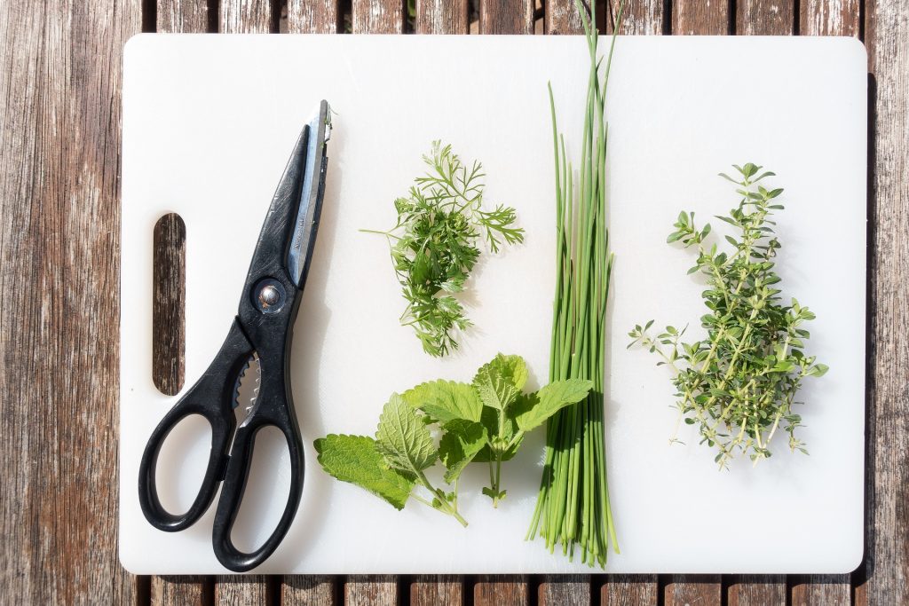 scissors and herbs on plastic cutting board