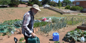 Man working in garden.