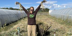 Woman harvesting garlic